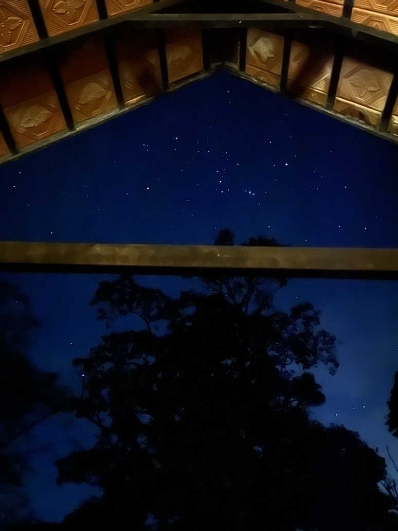Orion from the cottage, Magnolia Mist, Coorg